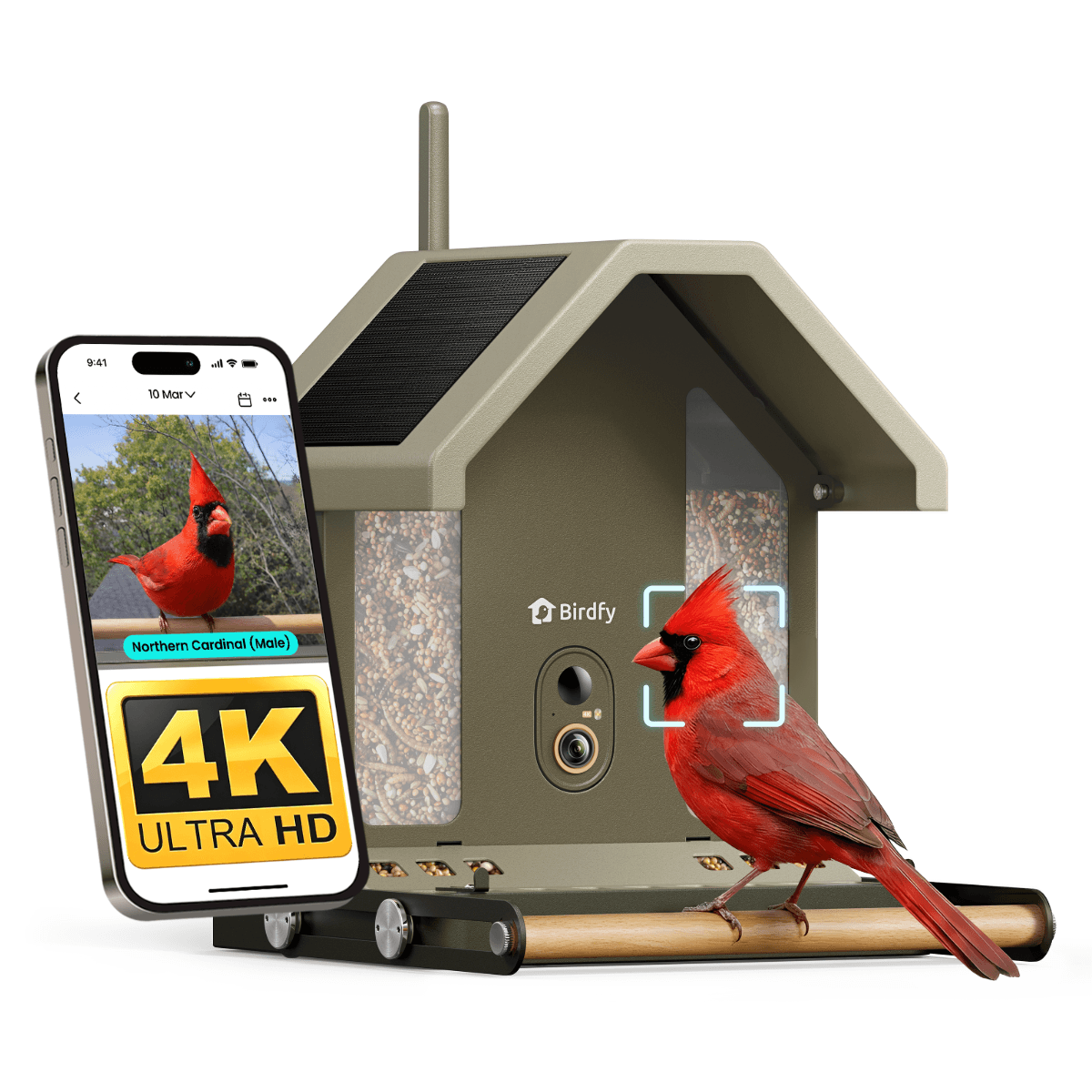 Birdfy Feeder Metal 2 4K