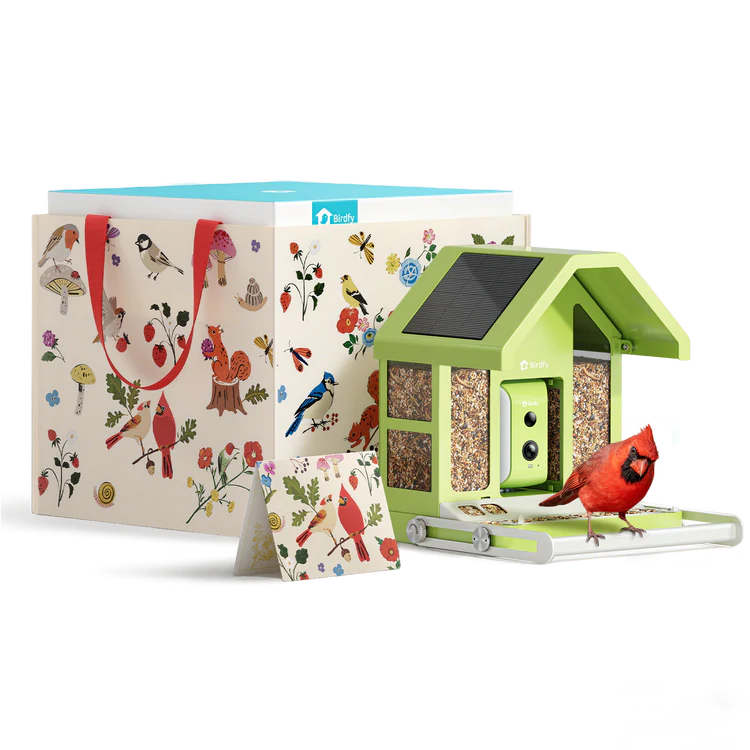 Birdfy Feeder Metal - Vogel Futterhaus mit Kamera (Geschenkpaket)