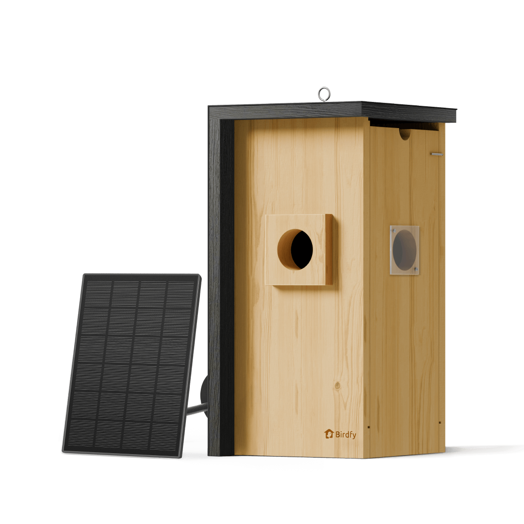 Birdfy Nest - Holzernes Smart-Vogelhaus mit Kamera