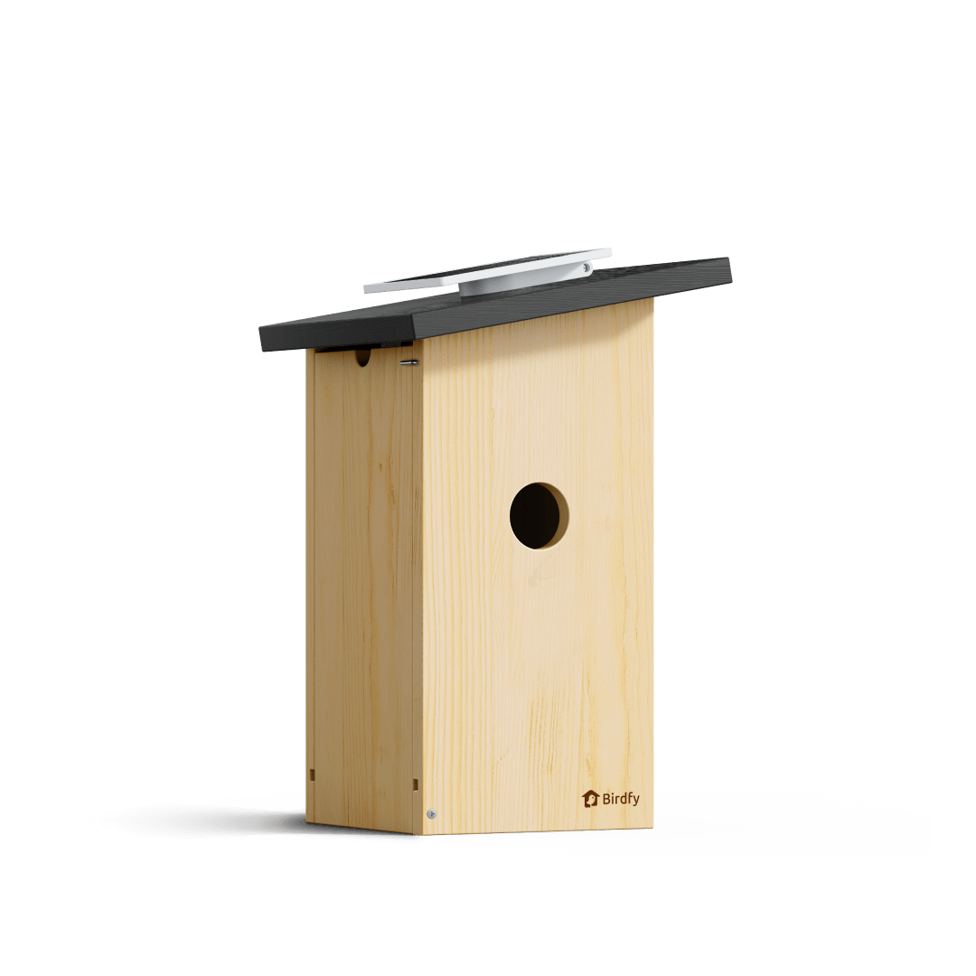 Birdfy Nest Ebony – Holzerne Smart-Vogelhaus