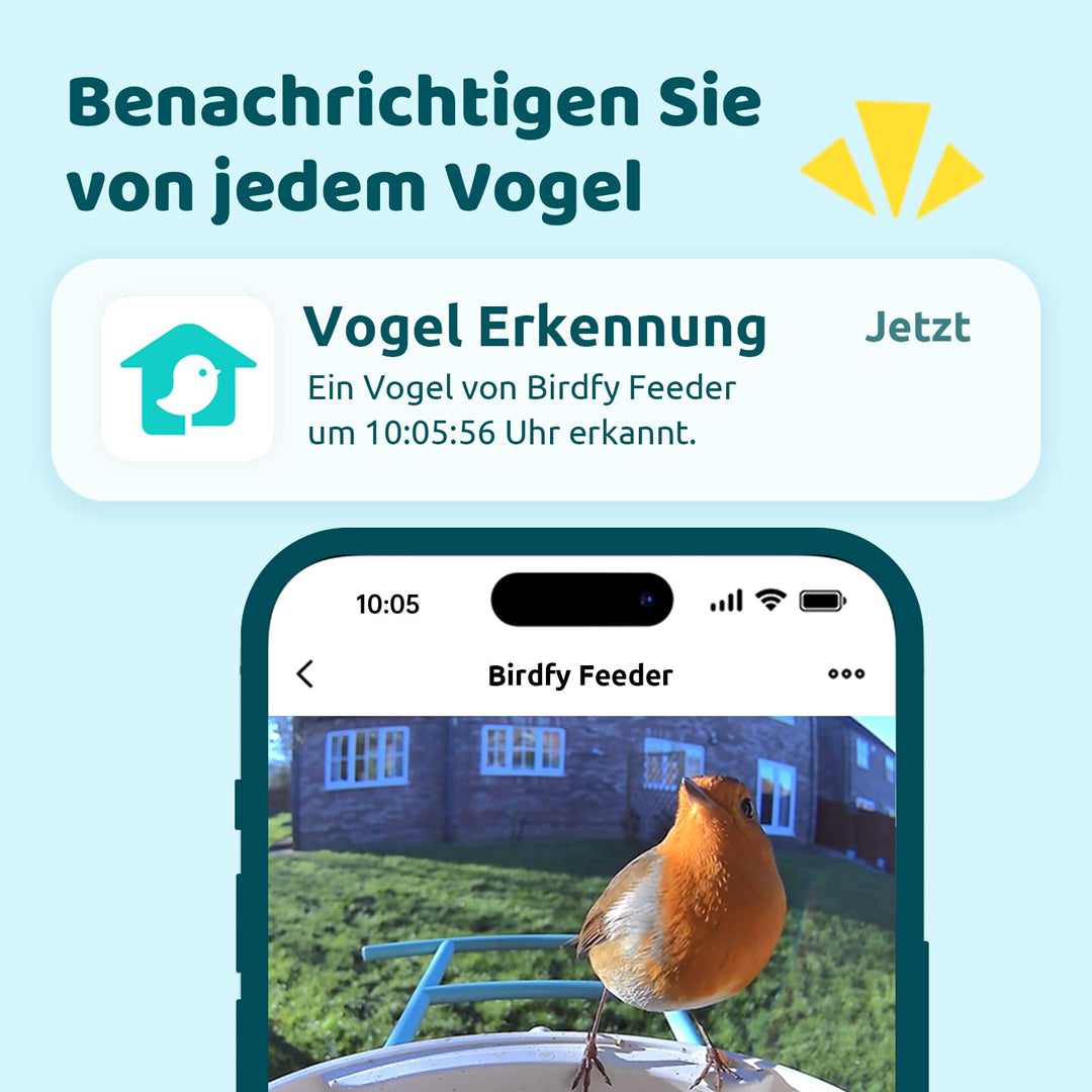 Birdfy Feeder - FutterHaus Vögel mit Kamera und Solarpanel