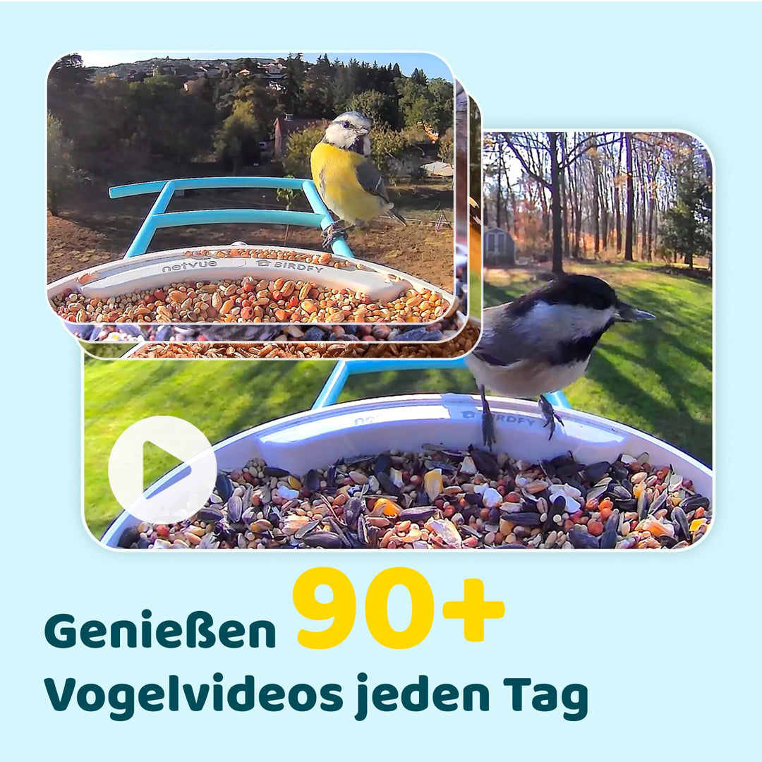 Birdfy Feeder - FutterHaus Vögel mit Kamera
