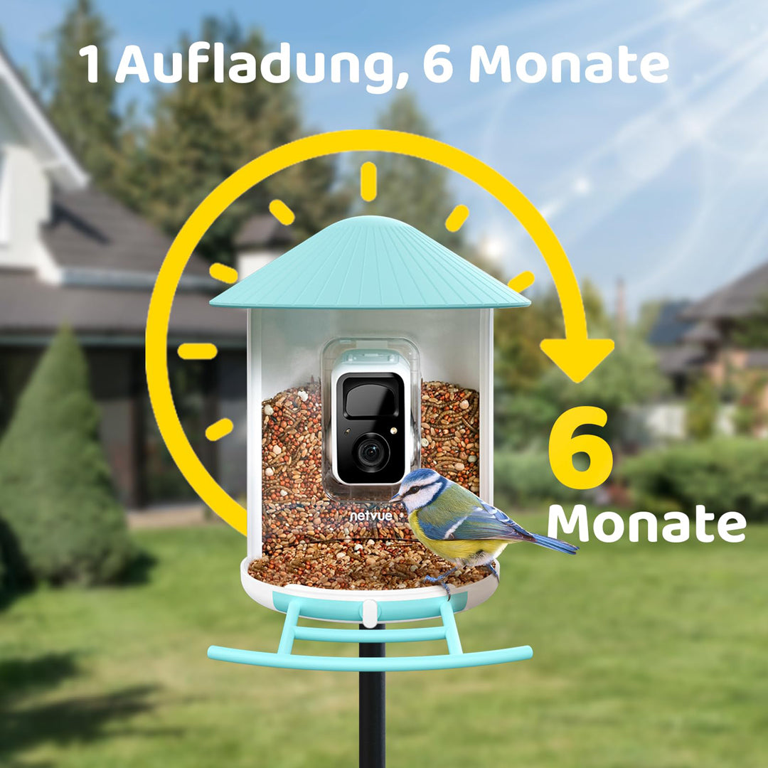 Birdfy Feeder Lite- Vogelfutterstation mit Kamera automatische Aufnahme von Vogelvideos