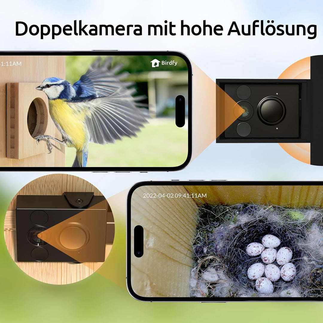 Birdfy Nest- Smart Vogelhaus mit Doppelkamera 1080P Automatische Aufzeichnung Vogel Nester, Schlüpfen