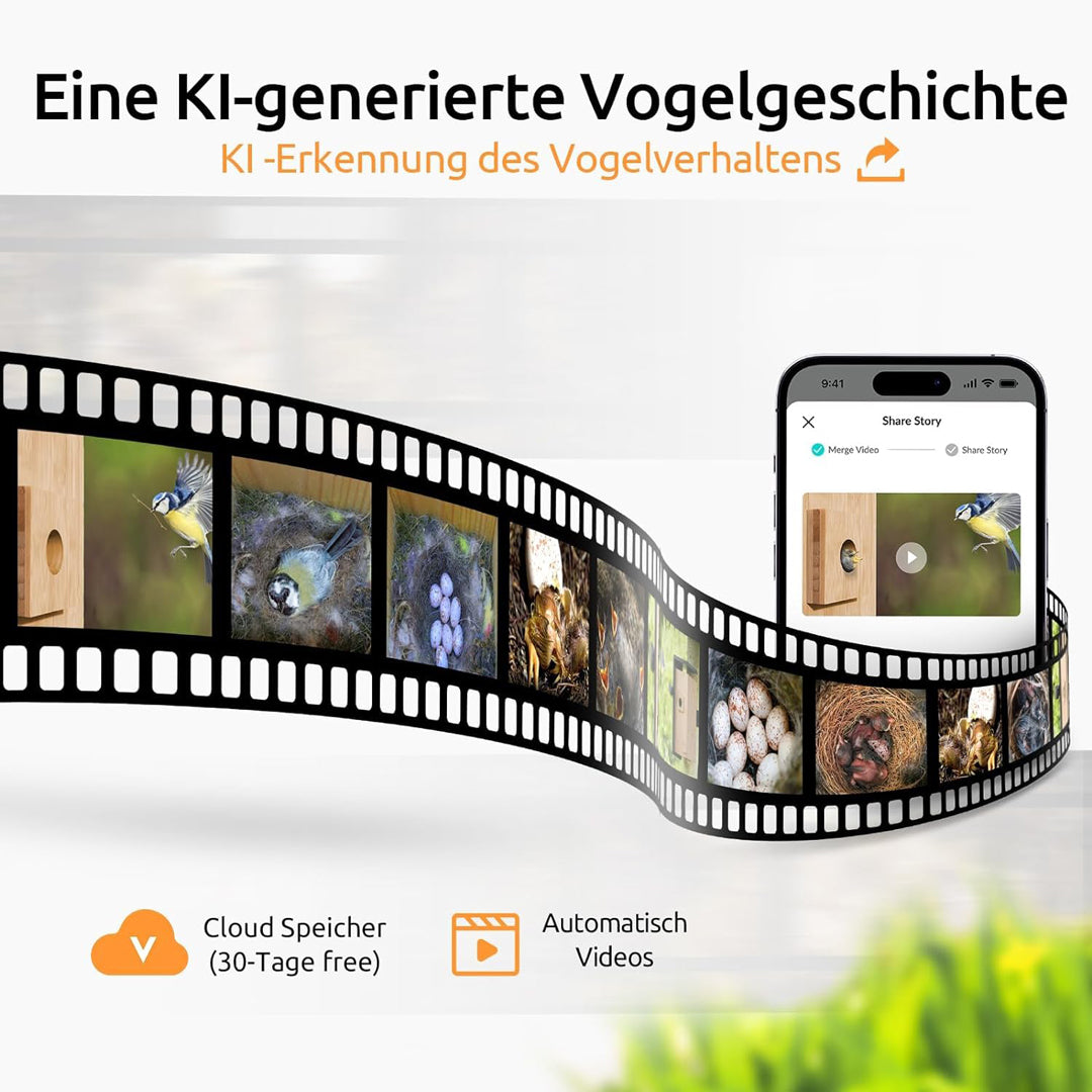 Birdfy Nest- Smart Vogelhaus mit Doppelkamera