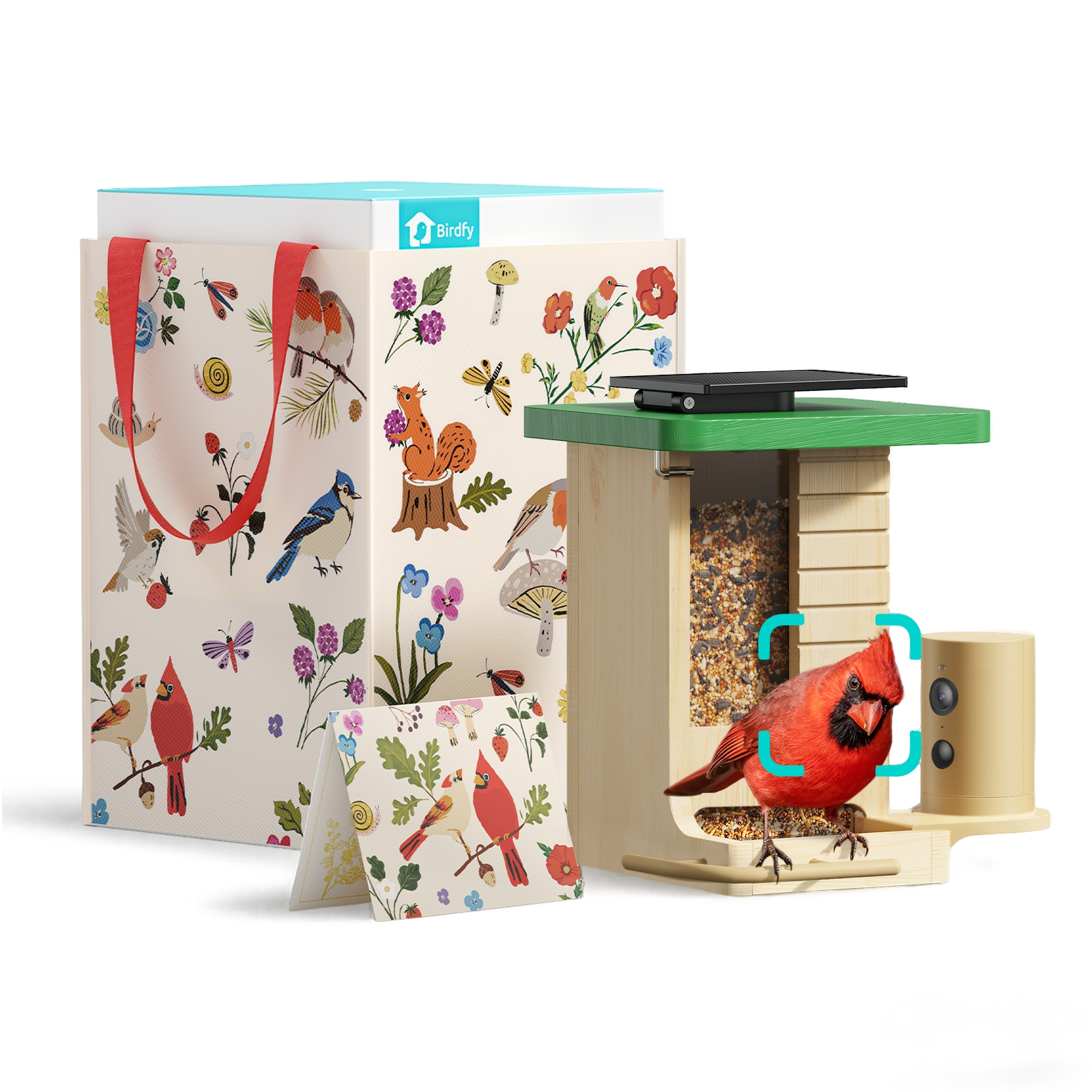 Birdfy Feeder Wood - Geschenkpaket