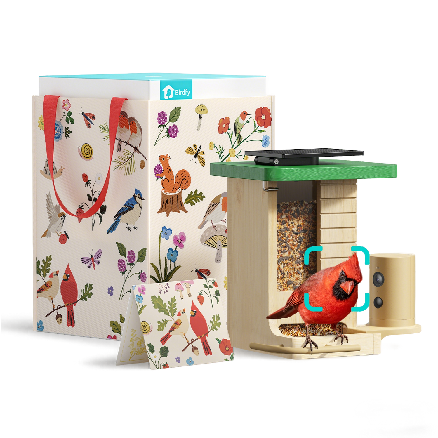 Birdfy Feeder Wood - Geschenkpaket